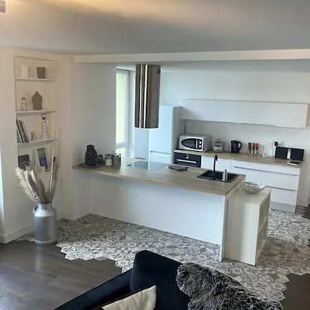 Apartment Superbe Lumineux Proche Tramway Clermont-Ferrand
